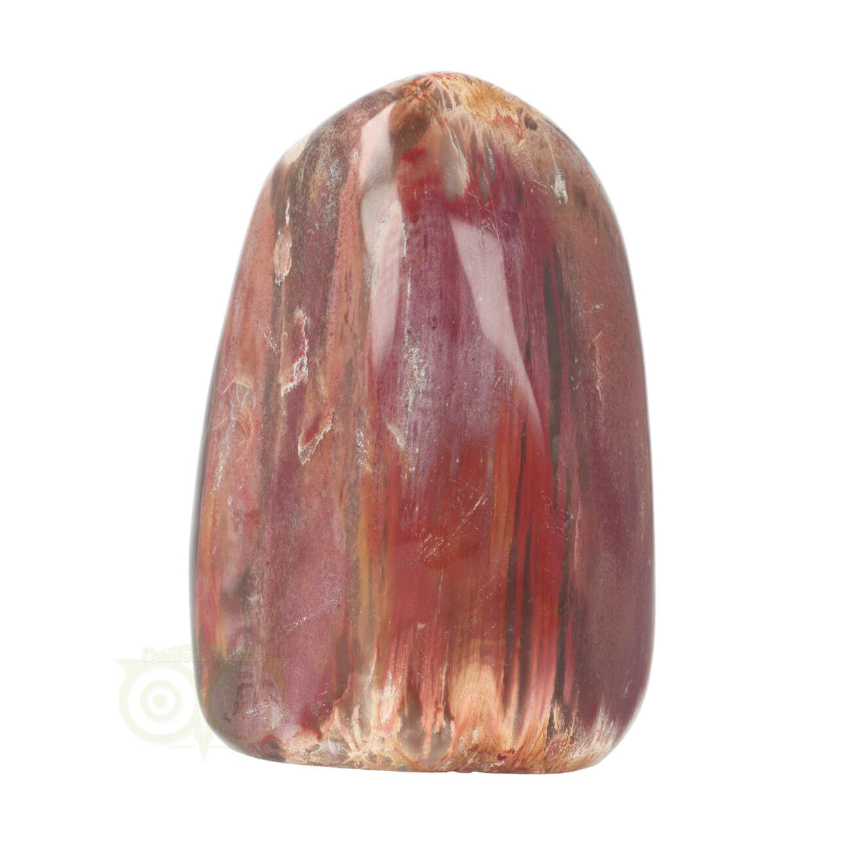 Petrified wood sculpture no. 28