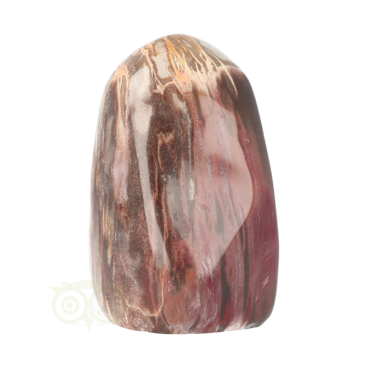 Petrified wood sculpture no. 28