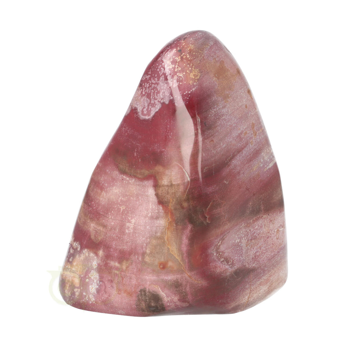 Versteend hout sculptuur nr 30