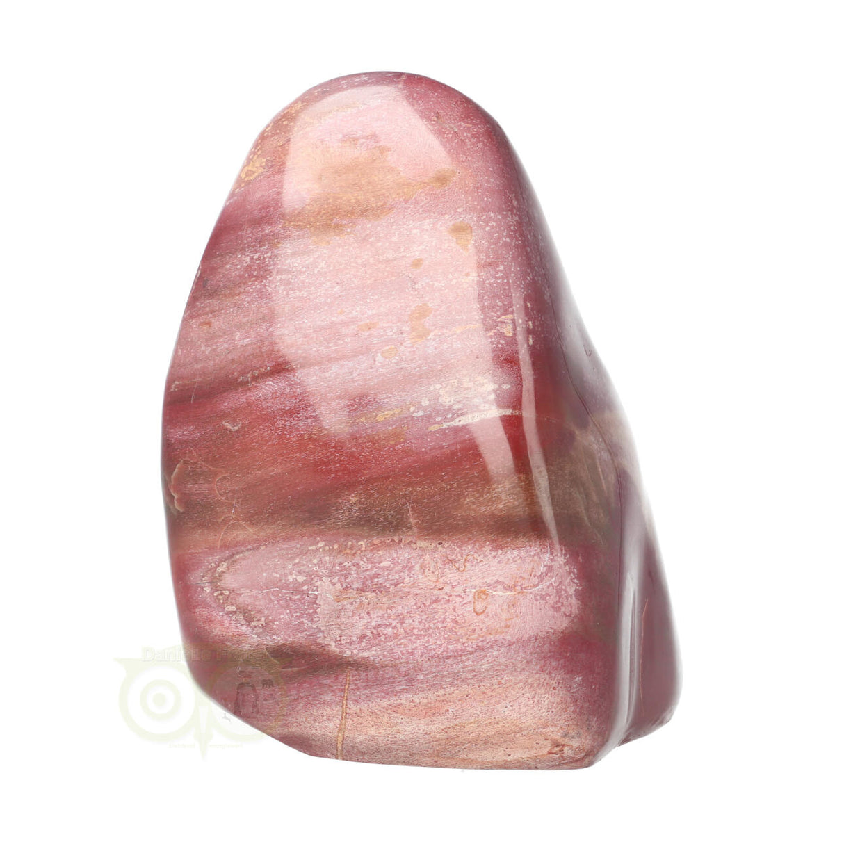 Versteend hout sculptuur nr 30