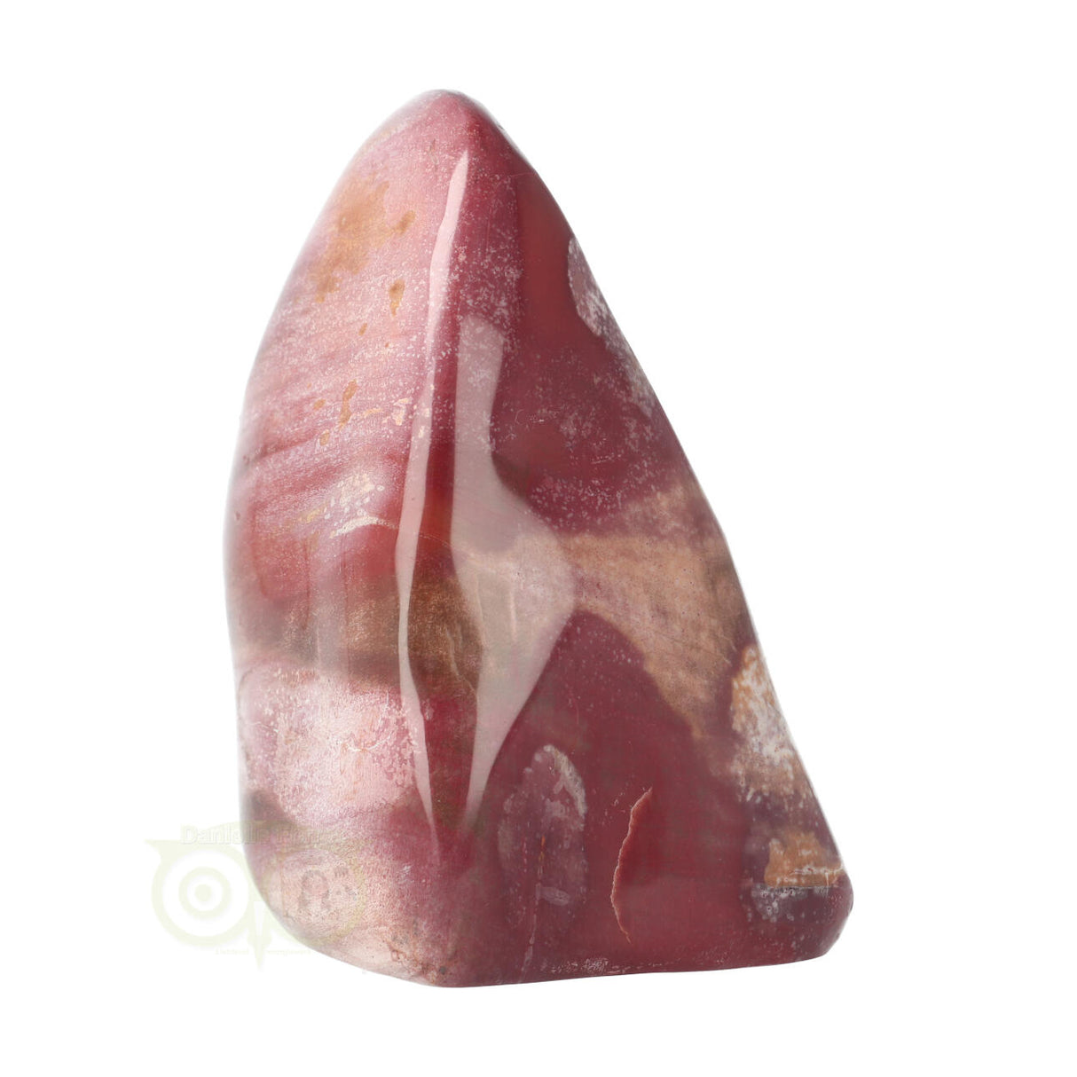 Versteend hout sculptuur nr 30