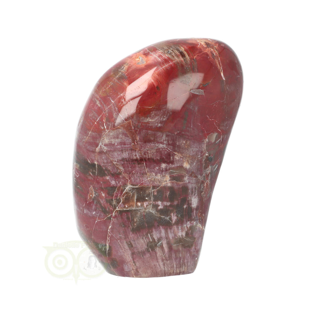 Versteend hout sculptuur nr 31