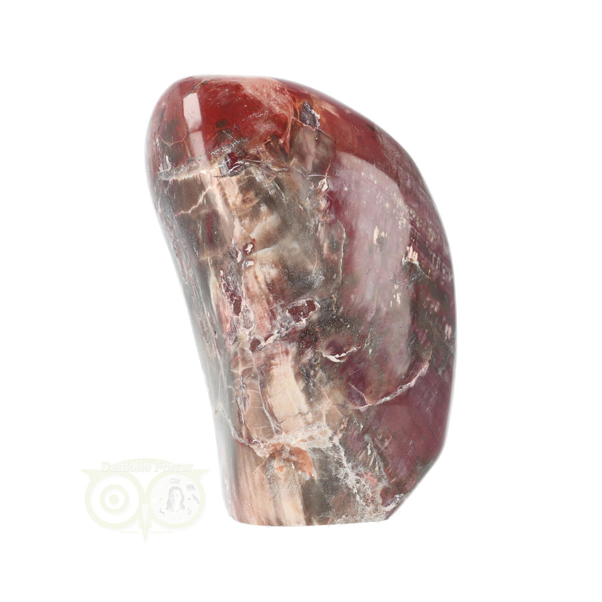 Versteend hout sculptuur nr 31