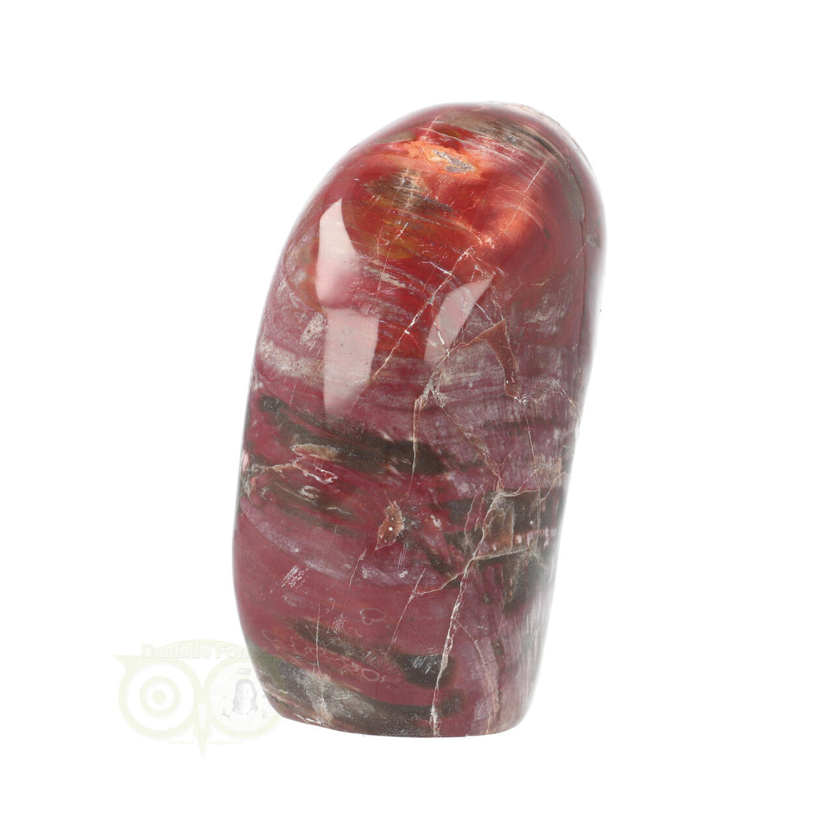 Versteend hout sculptuur nr 31