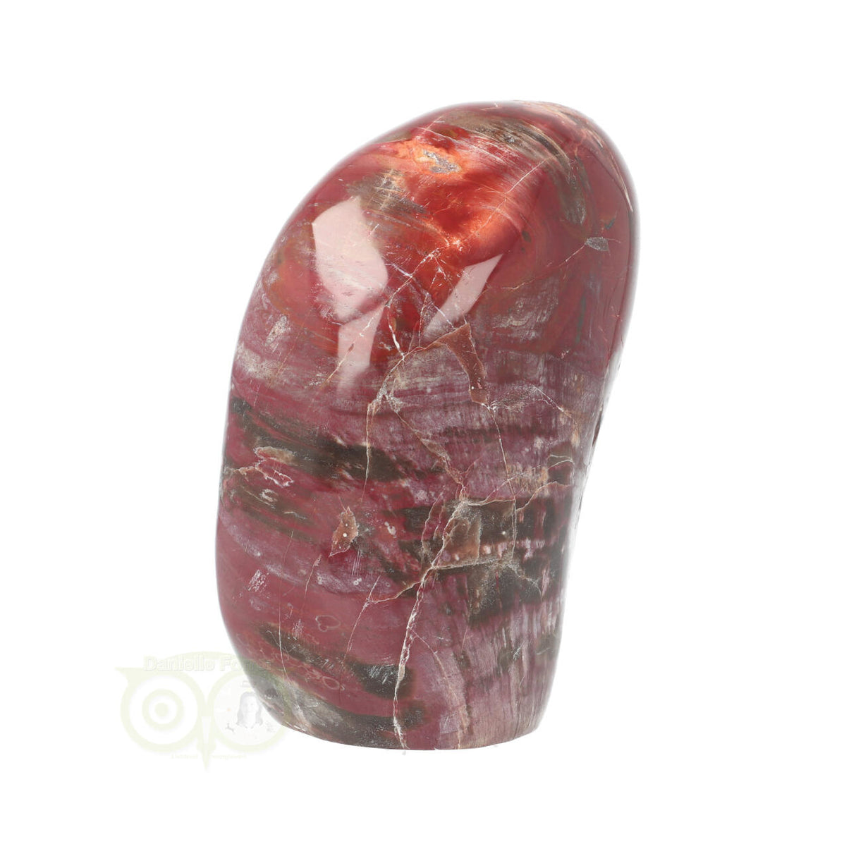 Versteend hout sculptuur nr 31