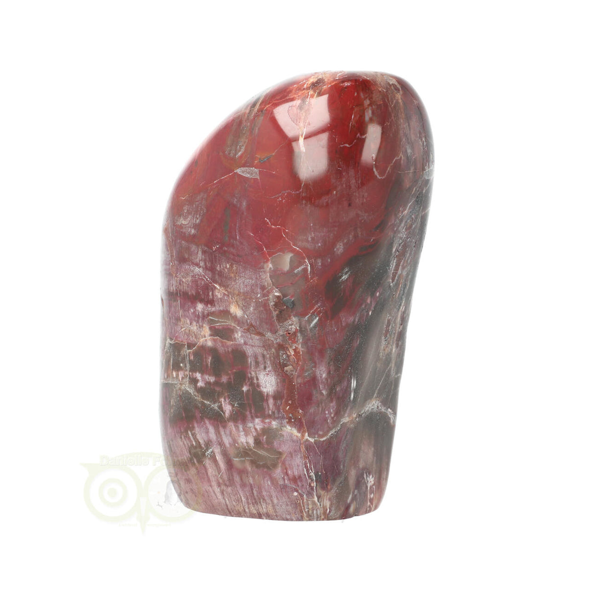 Versteend hout sculptuur nr 31