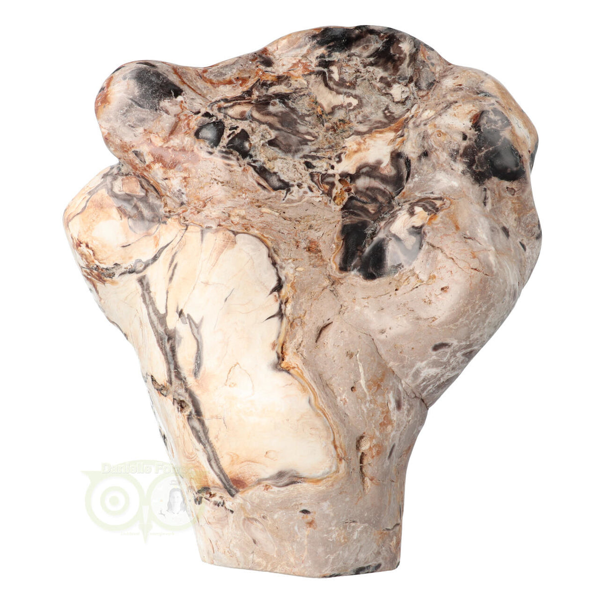 Versteend hout sculptuur nr 51