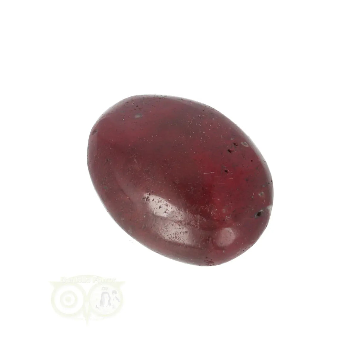 Versteend hout zaksteen Nr 12