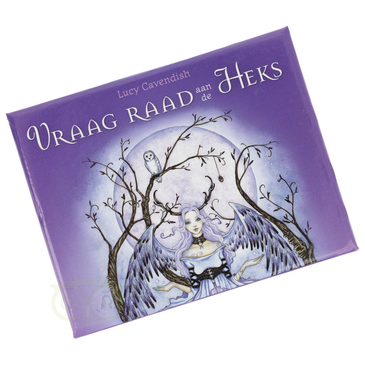 Vraag raad aan de Heks - Lucy Cavendish