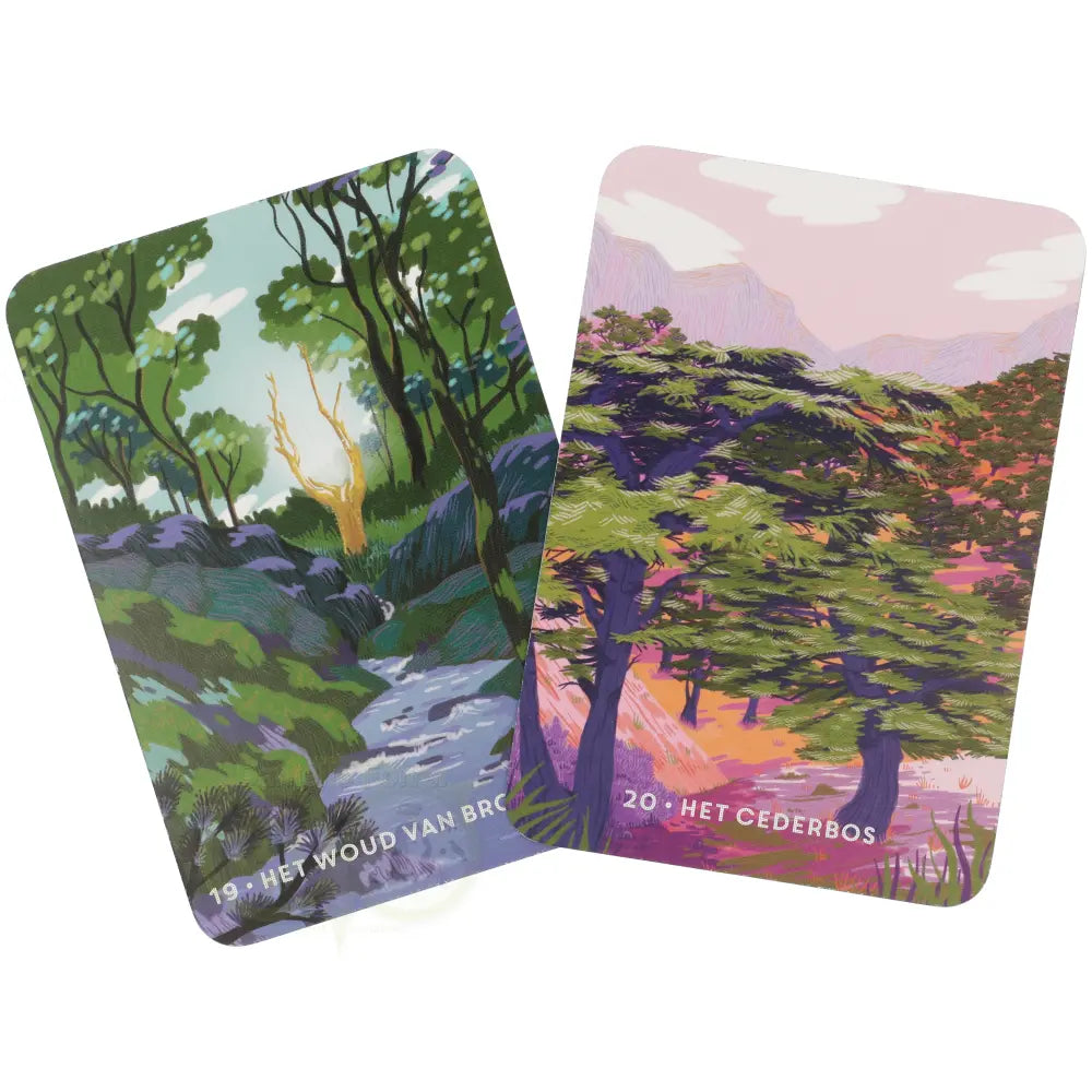 Wijsheden van het woud - Alain Lancelot - Kaartenset