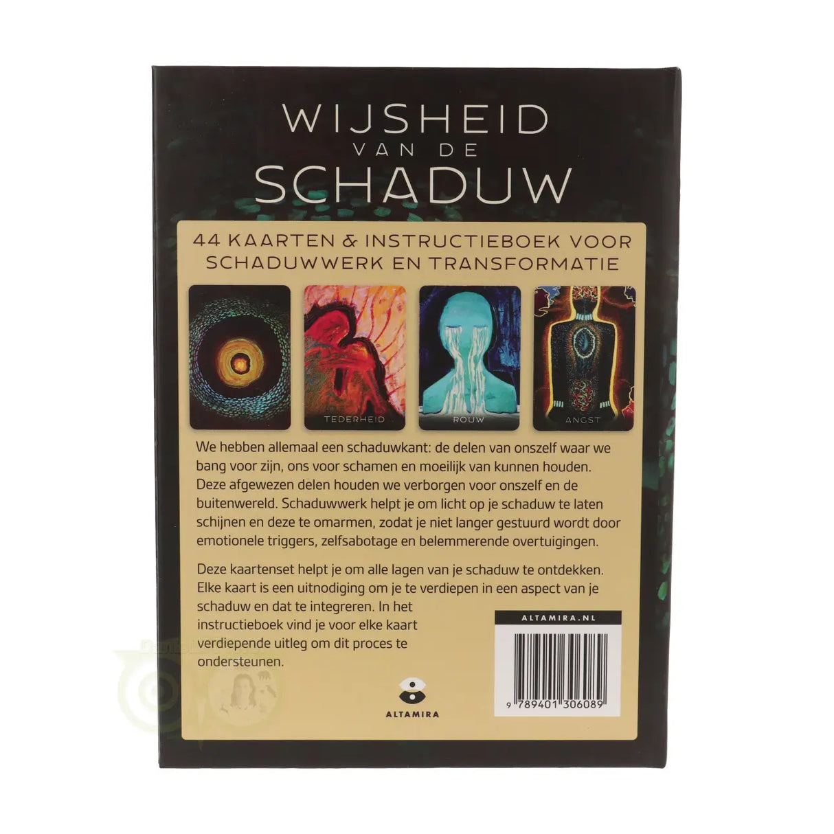 Die Weisheit des Schattens – Jessica Ricchetti