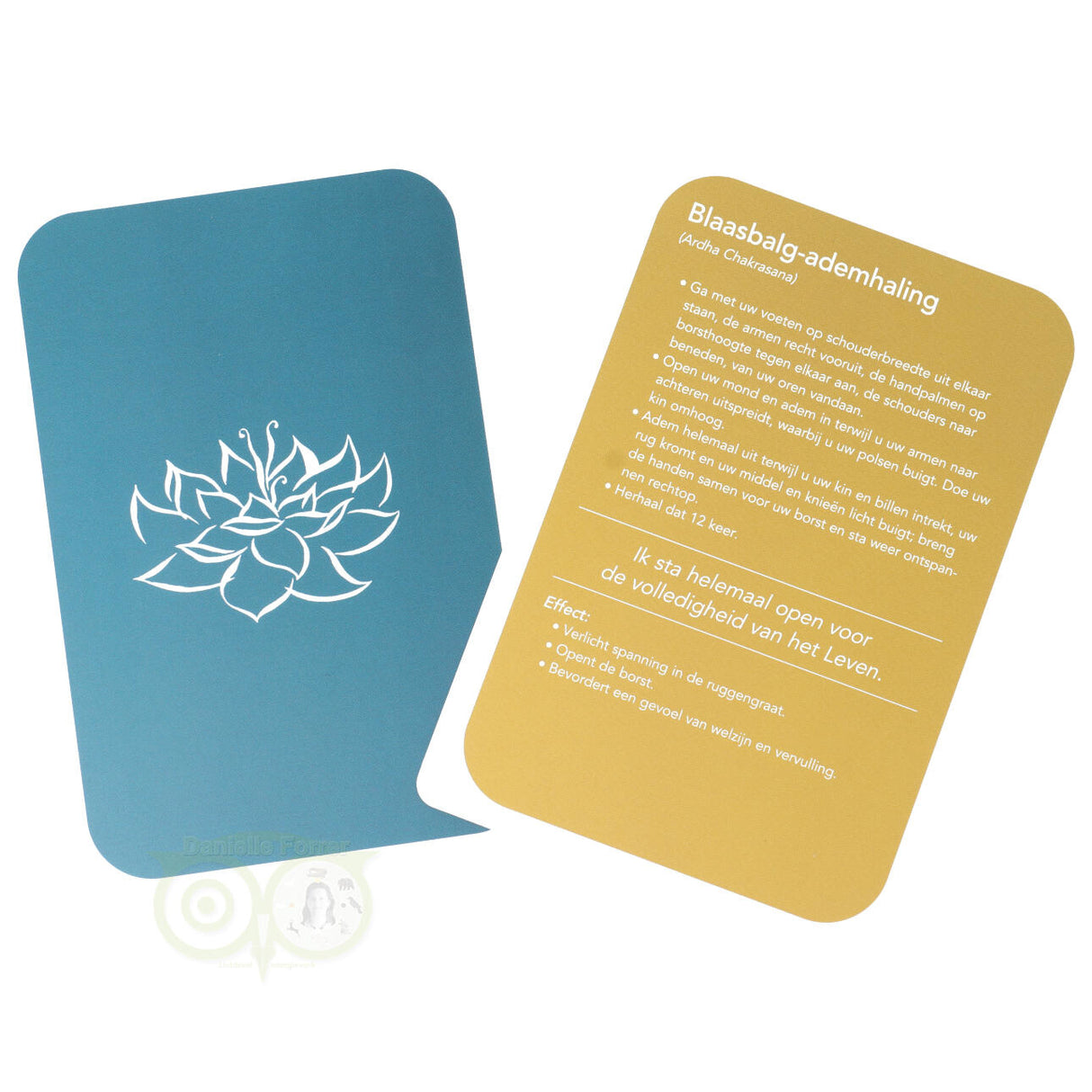 Yoga voor elk moment - Olivia Miller