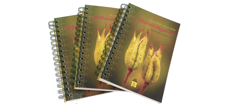 NU Leverbaar: de 13 manen agenda 2025-2026