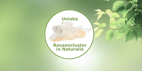 Unieke reuzencluster van bergkristal schittert in Naturalis