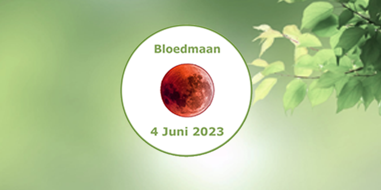 Edelstenen voor Spirituele Groei op 4 juni 2023 - De Mystieke Betovering van de Bloedmaan