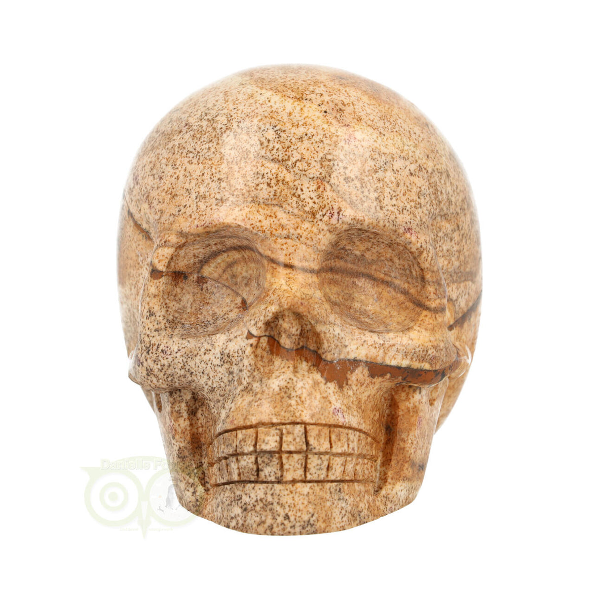 Landschaps jaspis schedel nr. 154 – 305 gram | Edelsteen skull
