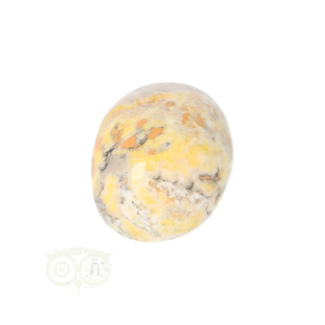 Bumble Bee Jasper tumbled stone no. 16 - 23 grams | Gemstone