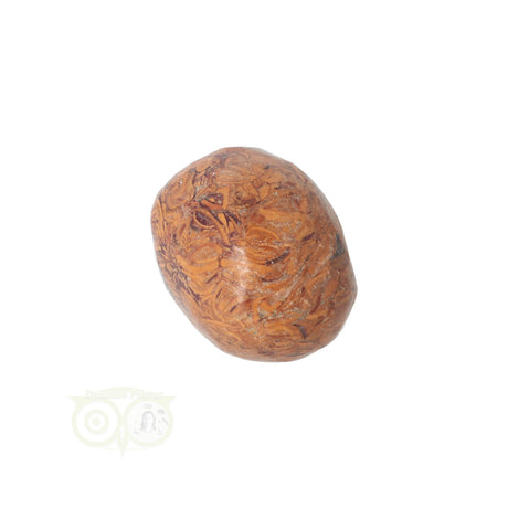 Coquina Jasper tumbled stone No. 5