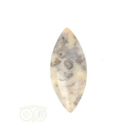 Crazy Lace Agaat Ovaal hanger nr. 14 - 11 gram | Edelsteen sieraad