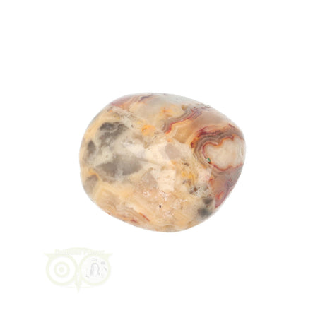 Crazy Lace Agaat trommelsteen nr. 24 - 19 gram | Edelsteen