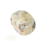 Crazy Lace Agaat trommelsteen nr. 37 - 17 gram | Edelsteen