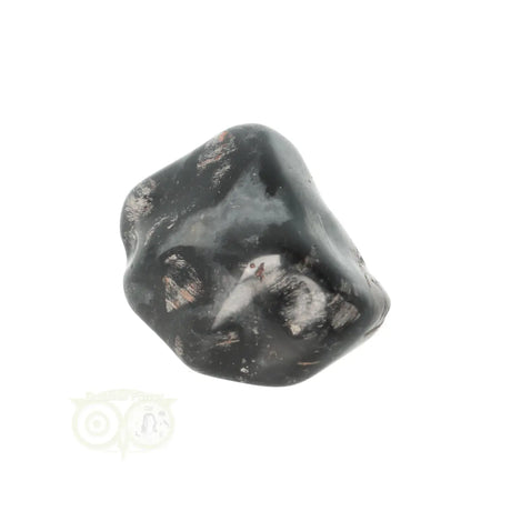 Jaspis Zilverblad trommelsteen nr. 17 - 24 gram | Edelsteen