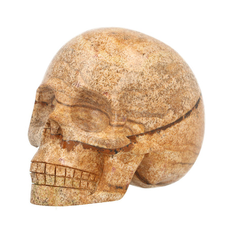 Landschaps jaspis schedel nr. 154 – 305 gram | Edelsteen skull