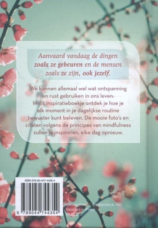 Boek Mindful op elk moment van Daisy Roth – inspiratieboekje over mindfulness en bewuster leven met foto's en citaten – 128 pagina's – Webshop Danielle Forrer - achterkant