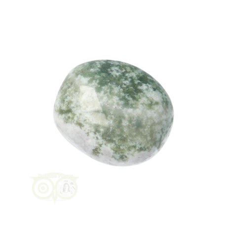 Moss agate tumbled stone round No. 9
