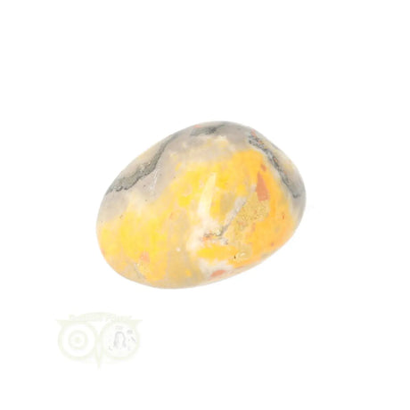 Bumble Bee Jasper tumbled stone no. 17 - 13 grams | Gemstone