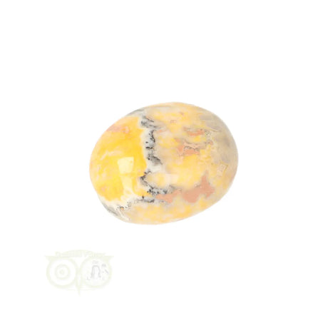 Bumble Bee Jasper tumbled stone no. 18 - 14 grams | Gemstone