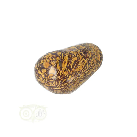 Coquina Jasper tumbled stone No. 15