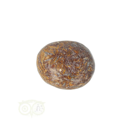 Coquina Jasper tumbled stone No. 17