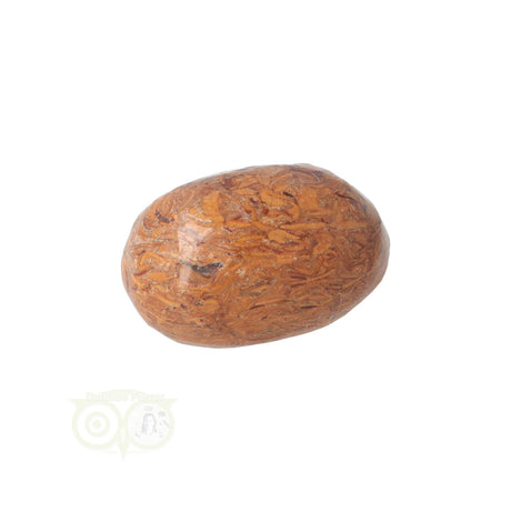 Coquina Jasper tumbled stone No. 5