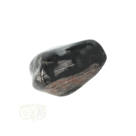 Jaspis Zilverblad trommelsteen nr. 17 - 24 gram | Edelsteen