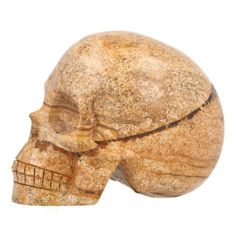 Landschaps jaspis schedel nr. 154 – 305 gram | Edelsteen skull