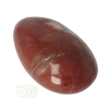 Versteend hout handsteen nr. 8 - 79 gram | Edelsteen