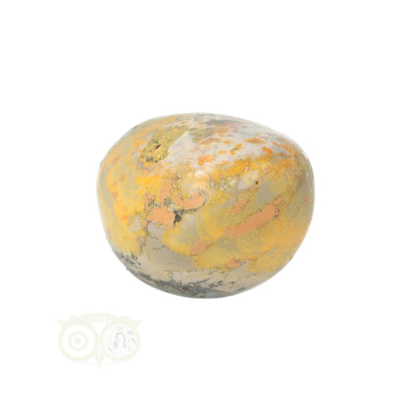 Bumble Bee Jaspis trommelsteen nr. 12 - 21 gram | Edelsteen