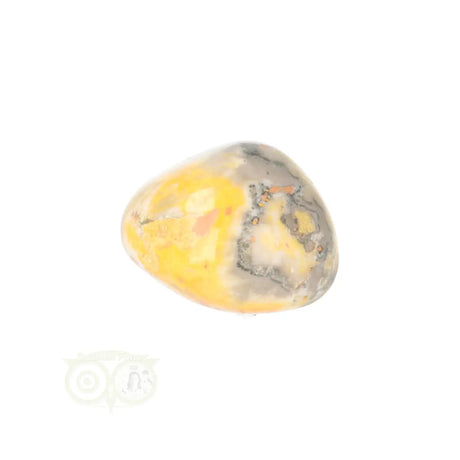 Bumble Bee Jasper tumbled stone no. 17 - 13 grams | Gemstone
