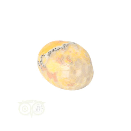 Bumble Bee Jasper tumbled stone no. 18 - 14 grams | Gemstone