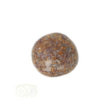 Coquina Jasper tumbled stone No. 17