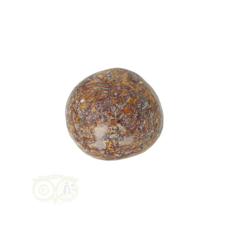 Coquina Jasper tumbled stone No. 17