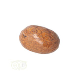 Coquina Jasper tumbled stone No. 5