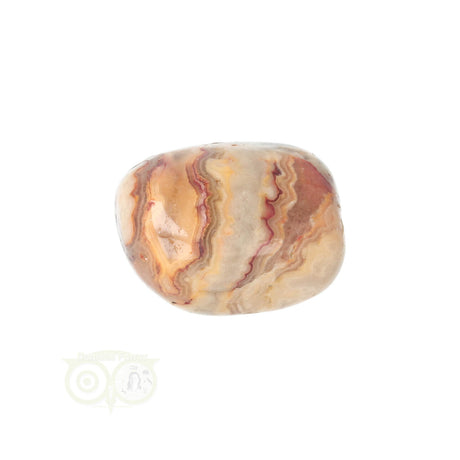 Crazy Lace Agaat trommelsteen nr. 24 - 19 gram | Edelsteen