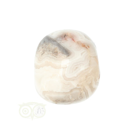 Crazy Lace Agate tumbled stone No. 29