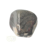 Jaspis Zilverblad trommelsteen nr. 10 - 22 gram | Edelsteen