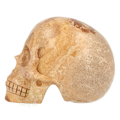 Landschaps jaspis schedel nr. 79 – 291 gram | Edelsteen skull