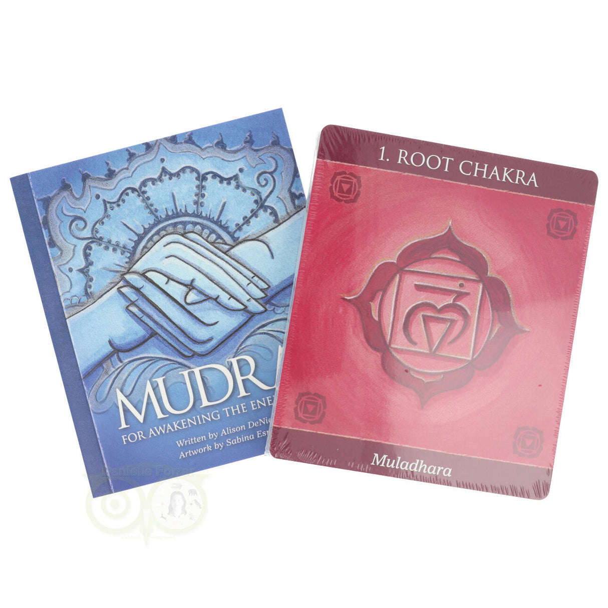 MUDRAS – Zur Erweckung des Energiekörpers – Alison DeNicola