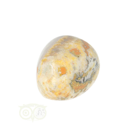 Bumble Bee Jasper tumbled stone no. 10 - 21 grams | Gemstone