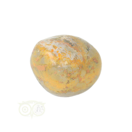 Bumble Bee Jaspis trommelsteen nr. 12 - 21 gram | Edelsteen